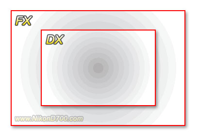 Nikon outlet d700 webcam